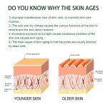 Anti-Aging Serum Lightening Fine Lines And Spots Dull, Hydrating, Firming And Brightening Face Serum - Image 5