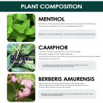 South Moon Anti-Mosquito Anti-Itch Ball, Gel Mosquito Bites Skin Itch Portable Relief Care Ball - Image 5