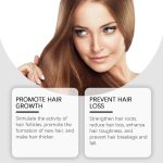 Hoegoa Shampoo Gentle Shampoo Oil Control Anti-Dandruff Fluffy Soft Cleansing Scalp Shampoo - Image 3