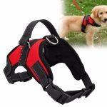 Fast Shipping Adjustable Dog Pet Harness - Image 4