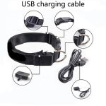 USB RECHARGEABLE LED PET DOG COLLAR - Image 6