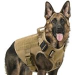 Fast Shipping Military Dog Tactical Harness and Leash Set - Image 2